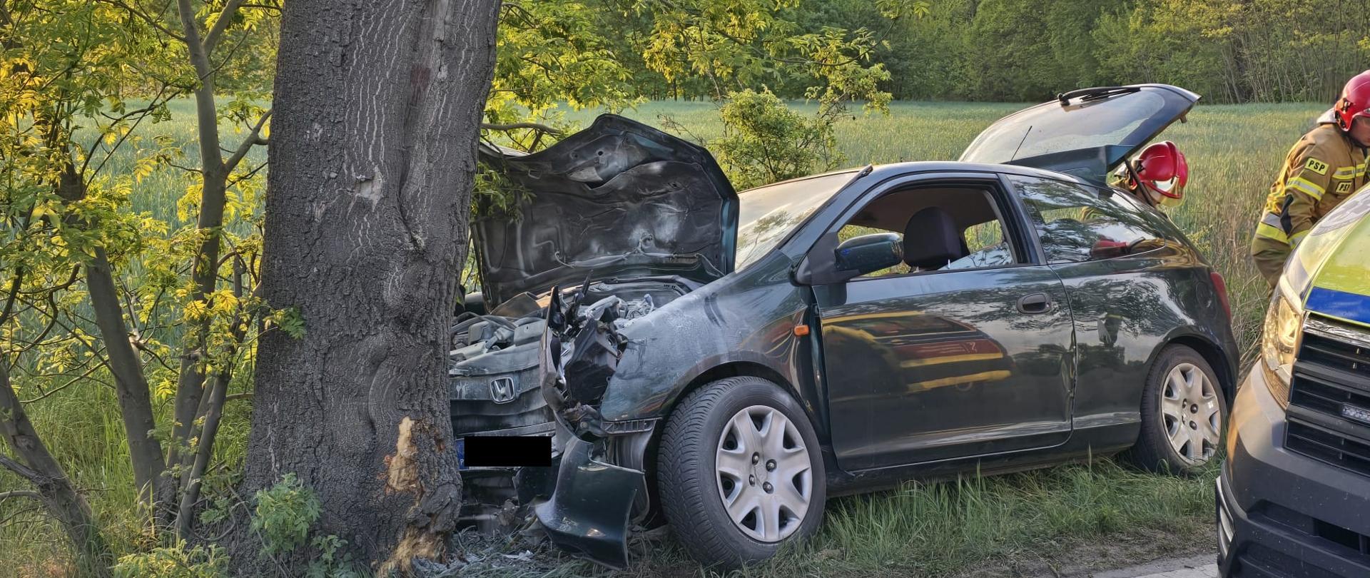 Uszkodzony samochód przy drzewie