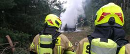 Strażacy z Ochotniczej Straży Pożarnej w Swarożynie gaszą pożar pojazdu.
