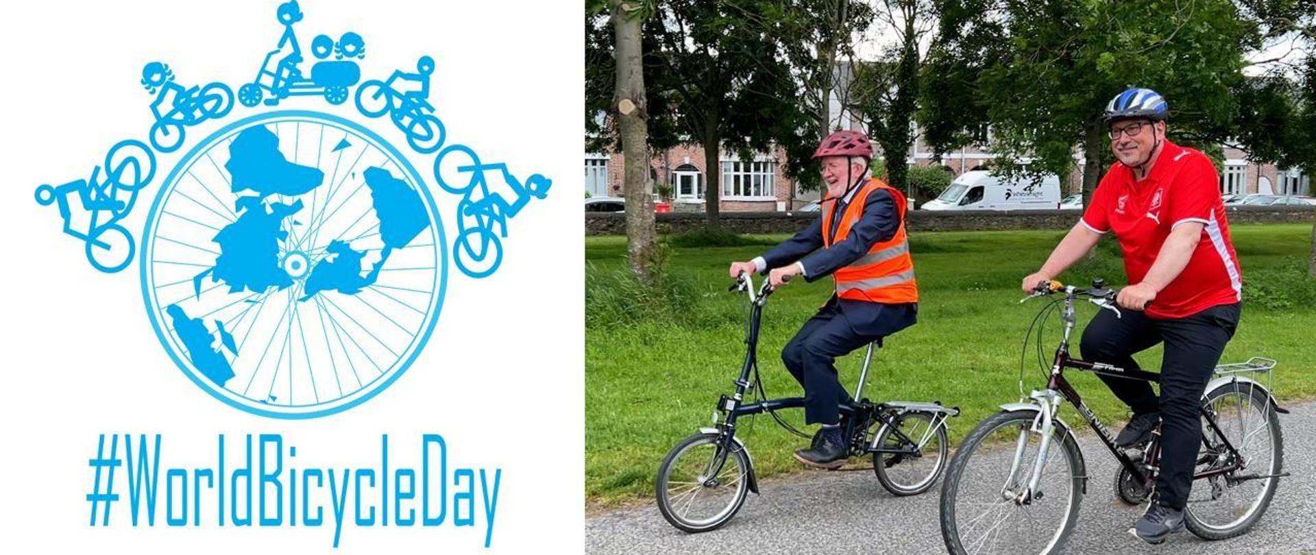 World Bicycle Day