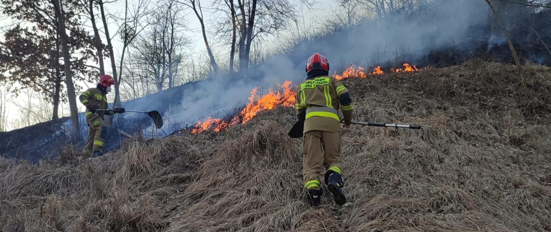 Dwóch strażaków stoi na skarpie i przy pomocy sprzętu pożarniczego do gaszenia iskier i żaru, gasi pożar trawy.