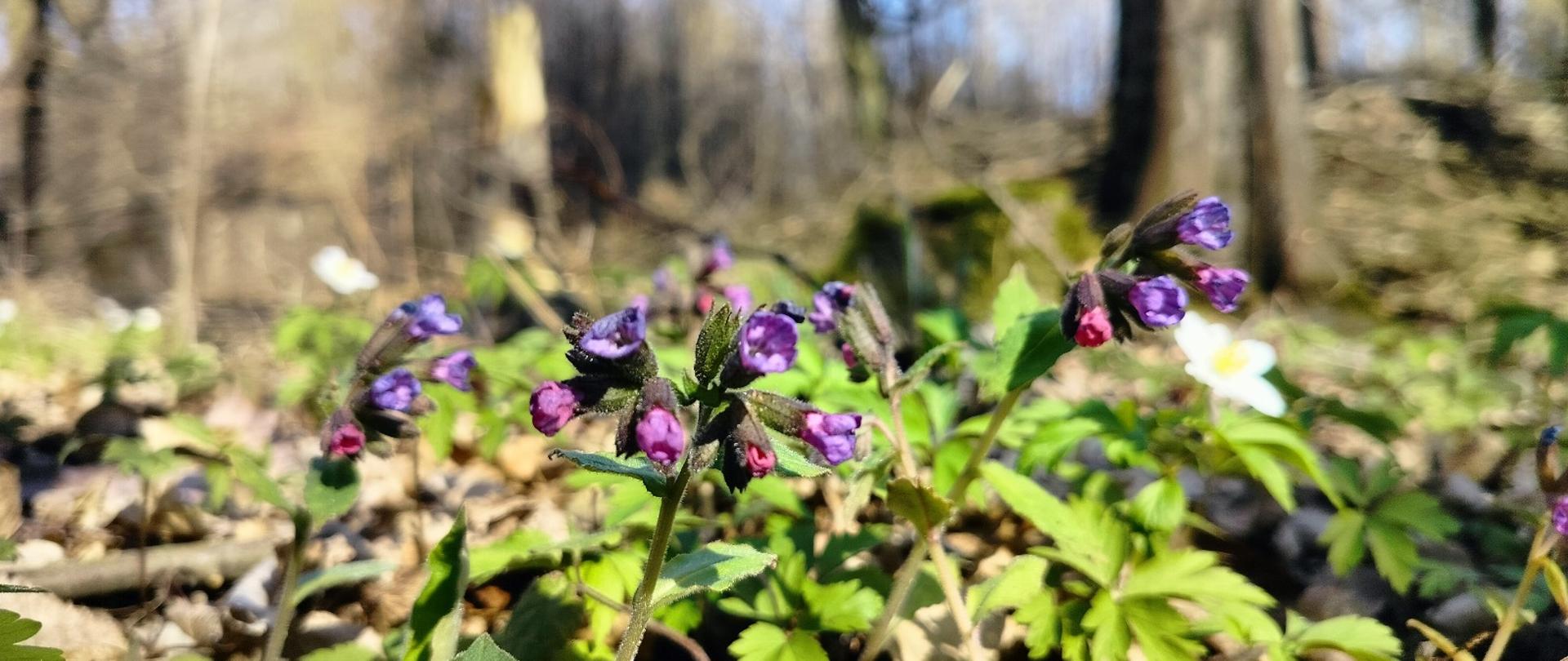 Święta to idealny czas na aktywny wypoczynek