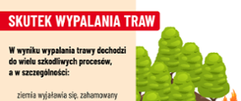 Grafika kampanii przeciw wypalaniu traw przedstawiająca pożar lasu oraz informacje o negatywnych skutkach wypalania traw dla gleby, środowiska i zwierząt.