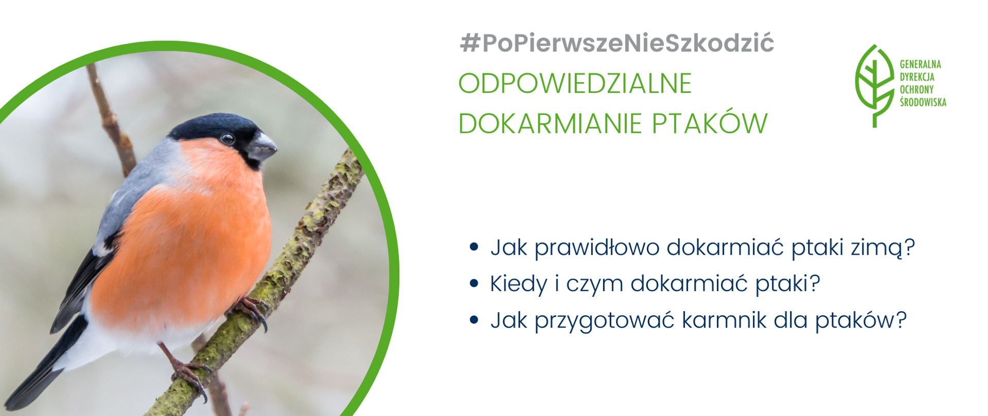 Grafika przedstawiająca ptaka gila oraz napis Po Pierwsze Nie Szkodzić, odpowiedzialne dokarmianie ptaków, jak prawidłowo dokarmiać ptaki zimą, kiedy i czym dokarmiać ptaki, jak przygotować karmnik dla ptaków.
