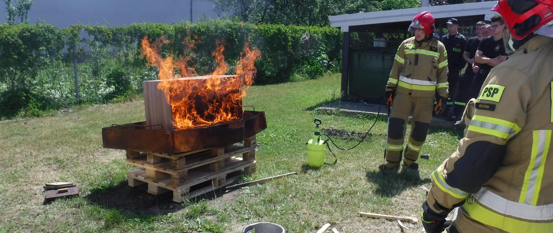 Na zdjęciu widać strażaka w trakcie ćwiczeń związanych z tematyką pożarów budynków mieszkalnych. Jest pora dzienna. Ma zdjęciu widać dwóch strażaków którzy mają założone ubranie specjalne- spodnie i kurtkę, chroniących ich m. in. przed działaniem wysokiej temperatury oraz czerwony hełm strażacki na głowie. Po lewej stronie widać palący się domek drewniany z którego otworów wychodzi płomień i widać dym. Domek ustawiony jest na platformie z palet drewnianych. Obok jednego strażaka stoi butla z gazem do której podłączony jest palnik. Obok drugiego strażaka stoi na ziemi opryskiwacz. Ćwiczenia odbywają się w plenerze na trawie. W dalszej części zdjęcia widać drzewa i krzewy.