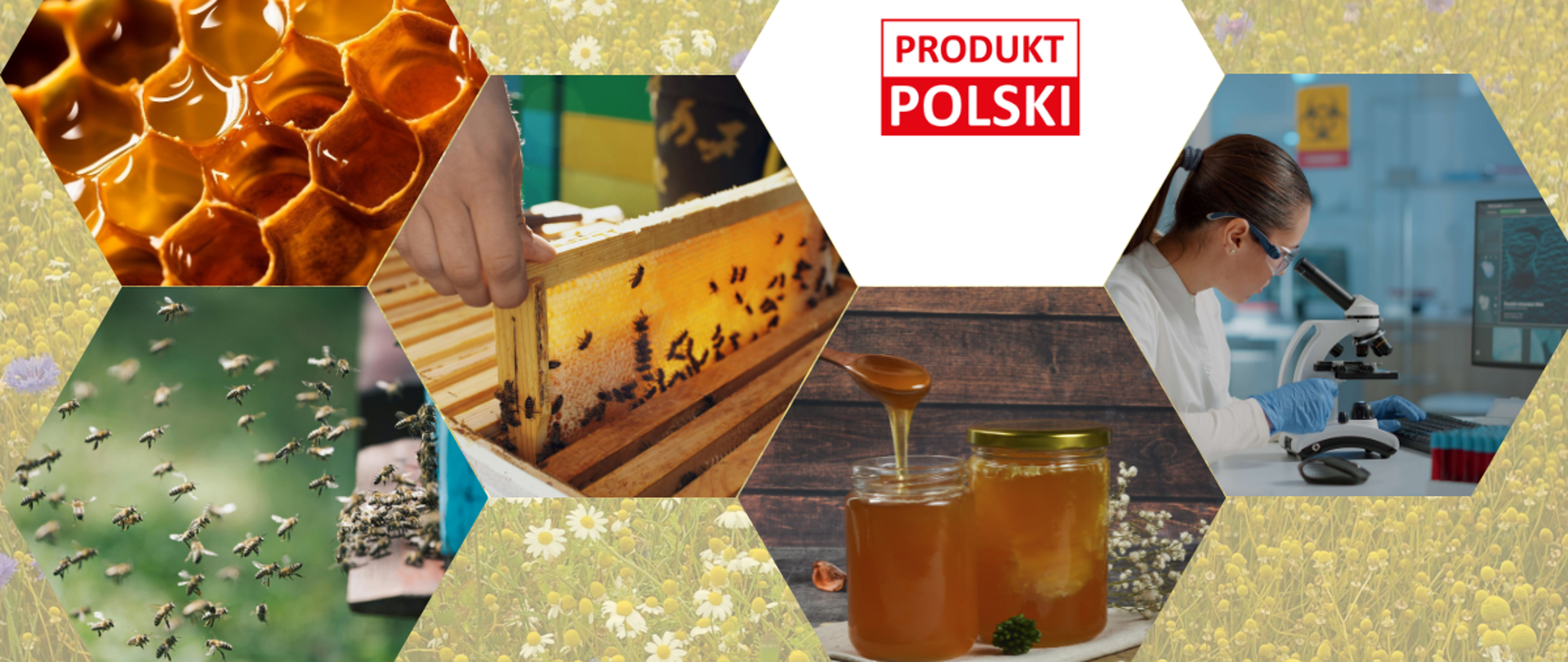 Baza Polskich Miodów