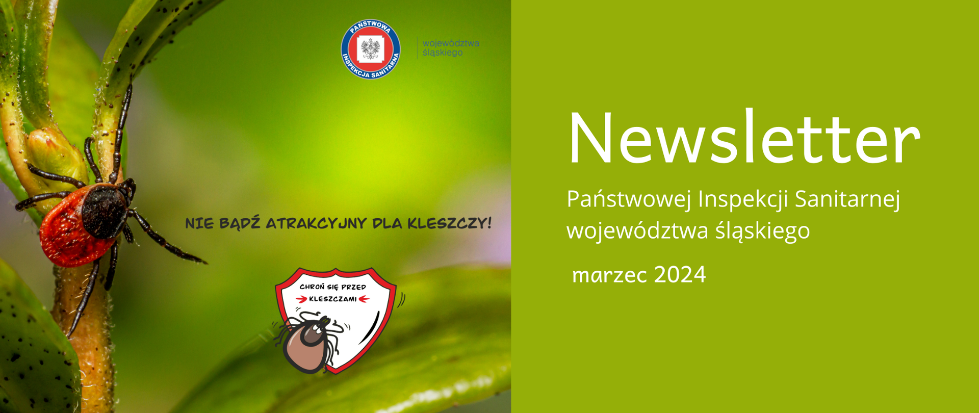 Kleszcz wspinający się po roślinie, po prawej stronie napis "Nie bądź atrakcyjny dla kleszczy!" i tarcza szkolna z wizerunkiem kleszcza i hasłem "Chroń się przed kleszczami"