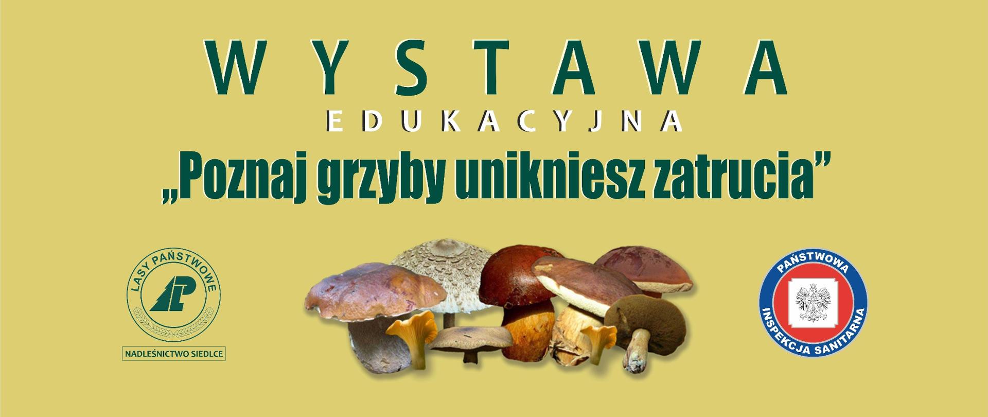 Wystawa grzybów 2022