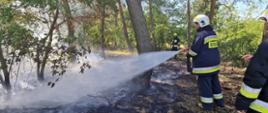 Widać strażak jak gasi pożar poszycia leśnego