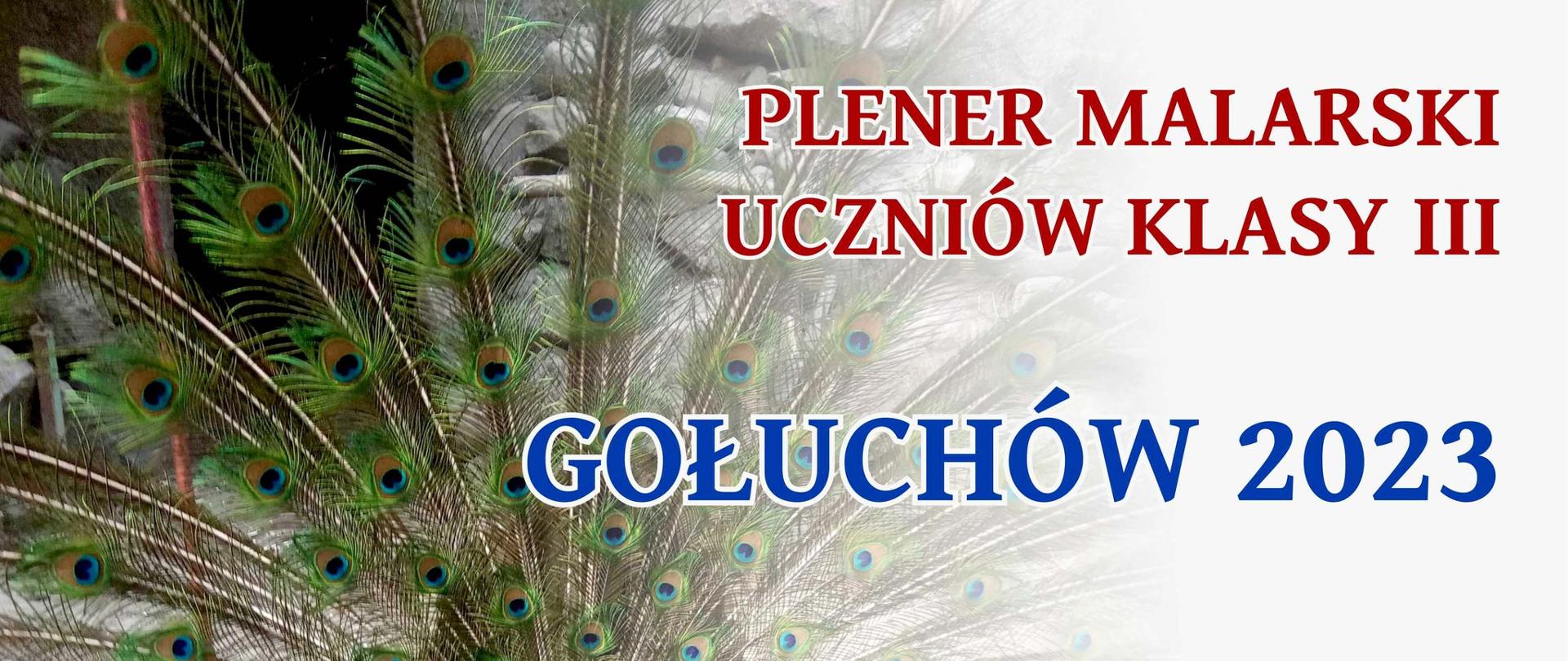 Na tle zdjęcia pawia z rozpostartym ogonem napis Plener malarski uczniów klasy III Gołuchów 2023 5-9 czerwca