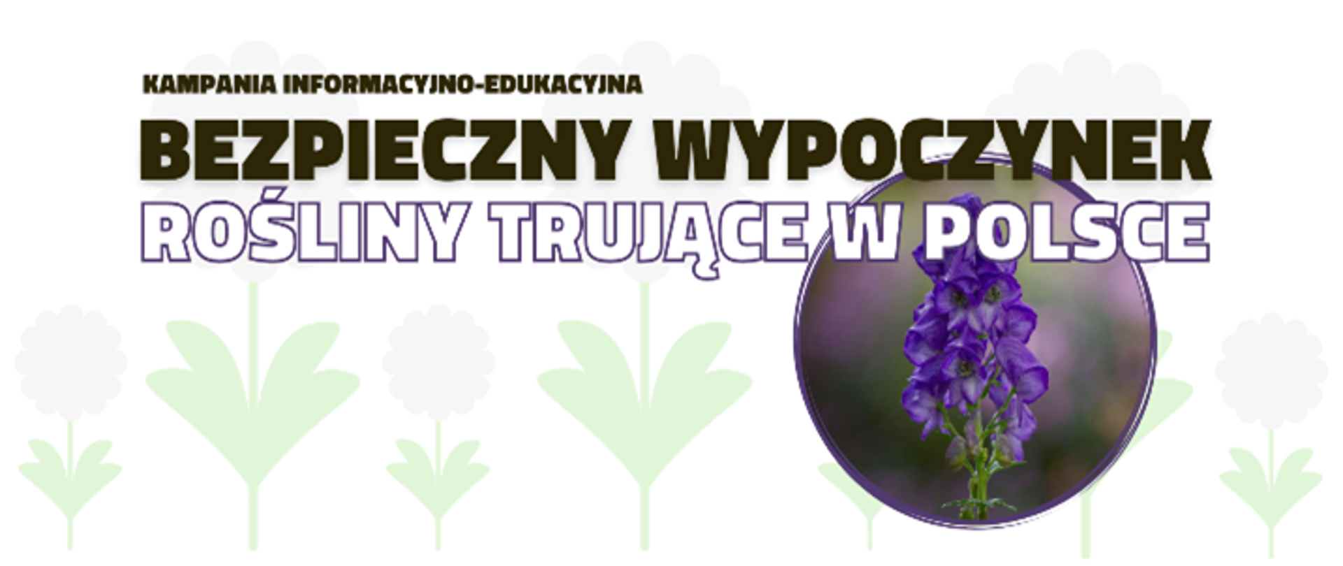 Bezpieczny wypoczynek – rośliny trujące w Polsce