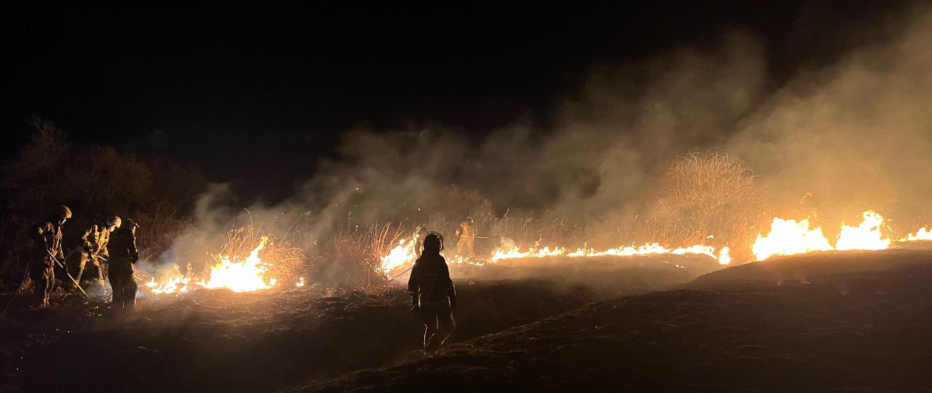 Pożary traw i nieużytków. 