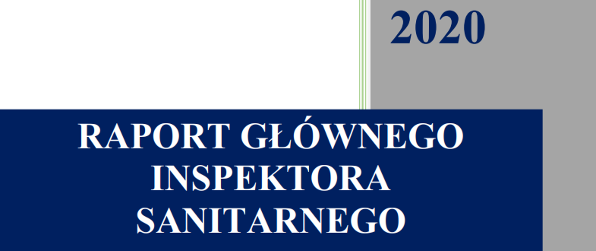 Okładka z napisem Raport Głównego Inspektora Sanitarnego dotyczący zatruć środkiem zastępczym lub nową substancją psychoaktywną w Polsce