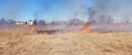 Na zdjęciu widzimy palące się trawy 