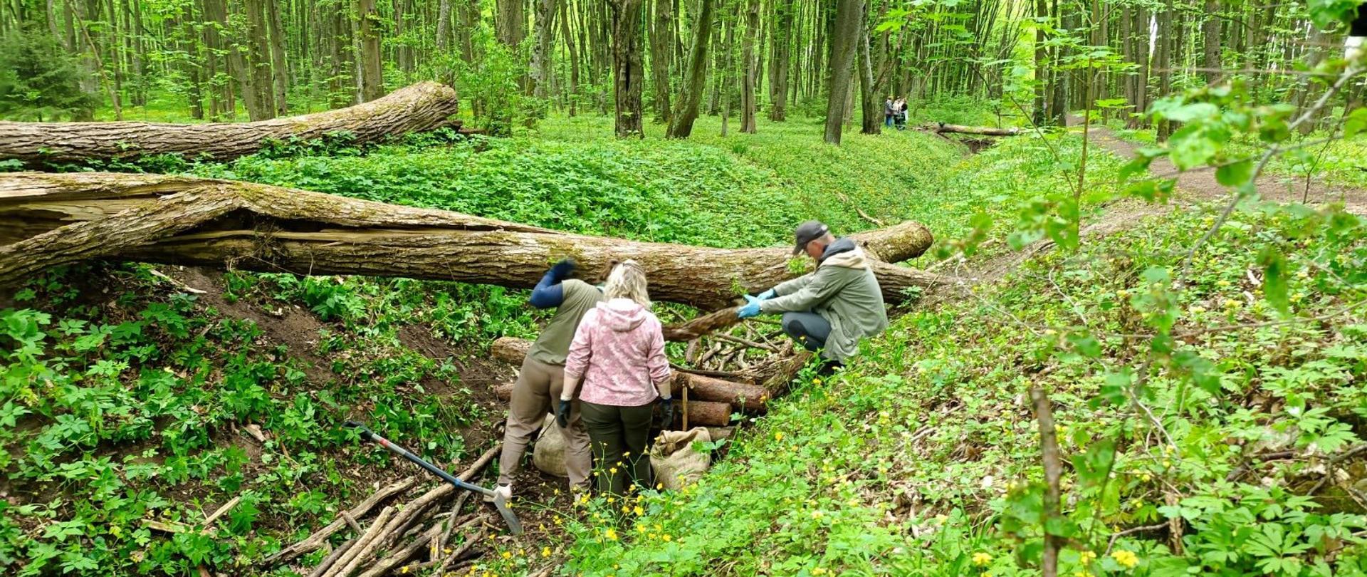 Zatrzymujemy wodę w Lesie Zwierzynieckim