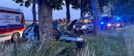 Zdjęcie przedstawia pojazd osobowy po uderzeniu w przydrożne drzewo. Na pierwszym planie widoczne jest przydrożne drzewo w które uderzył pojazd osobowy. Tuż za nim, na drodze, znajduje się samochód ZRM. Na drugim planie widoczne pojazdy innych służb: Policji, Wojskowej i Państwowe Straży Pożarne. Między pojazdami ZRM i Policji widać sylwetki strażaków. 