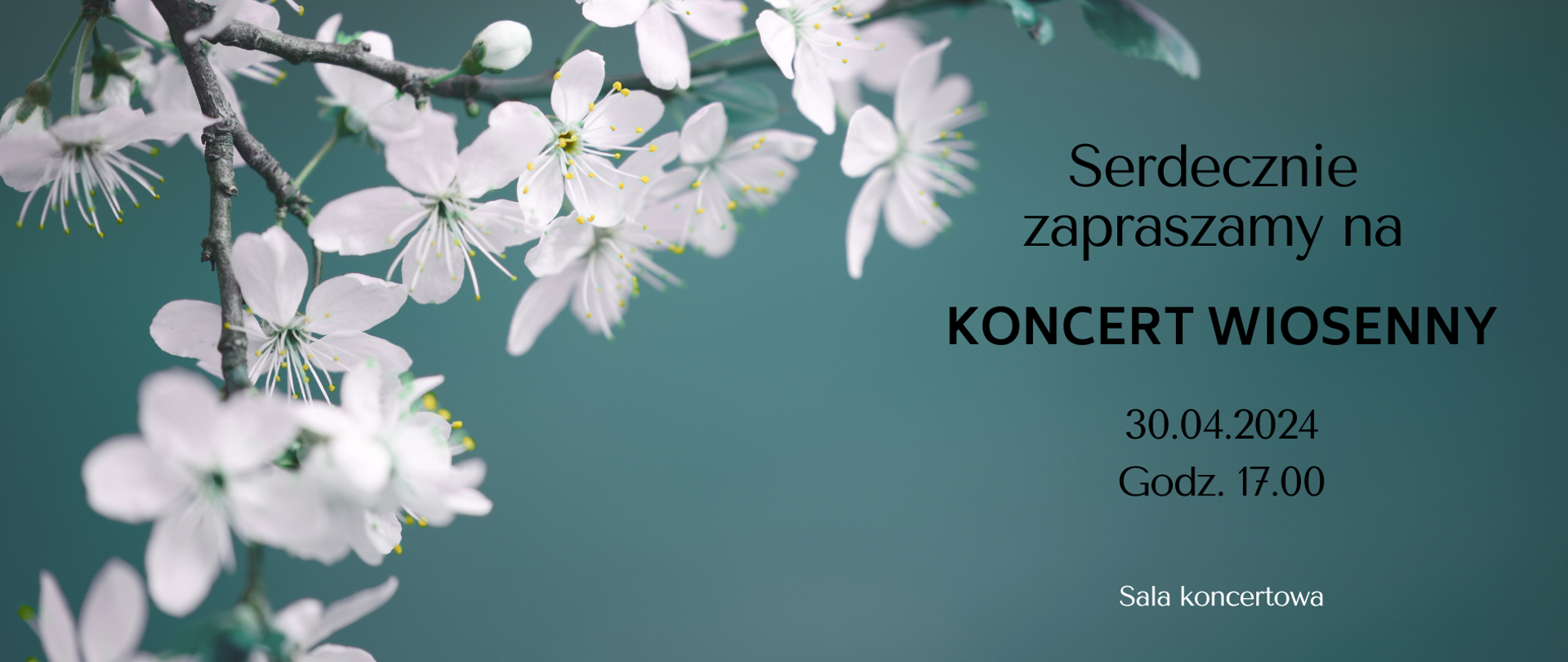 Na zdjęciu przedstawiono plakat koncertu wiosennego, który odbędzie się 30 kwietnia 2024 roku o godzinie 17:00 w sali koncertowej. Plakat jest utrzymany w jasnych barwach, z dominacją bieli i błękitu. Na pierwszym planie widnieje bukiet białych kwiatów, ułożony na niebieskim tle. Nad kwiatami znajduje się napis "Serdecznie zapraszamy na", a pod nim napis "KONCERT WIOSENNY". Data i godzina koncertu są umieszczone poniżej napisu "KONCERT WIOSENNY". Na dole plakatu znajduje się napis "Sala koncertowa".