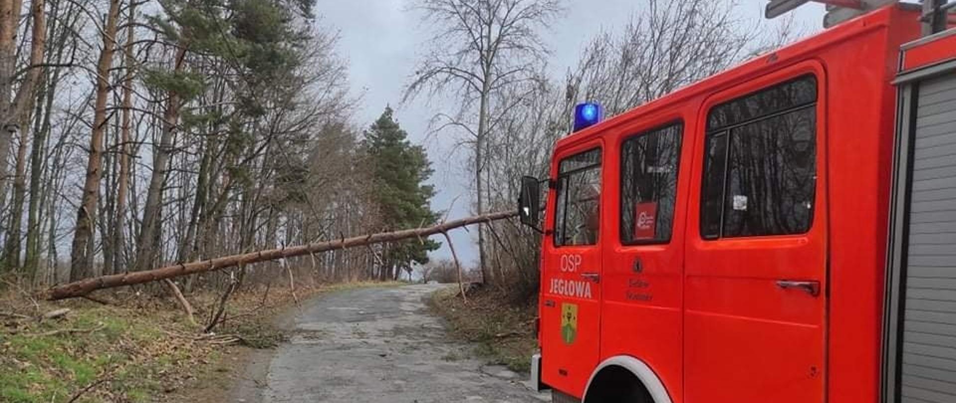 Samochód OSP Jegłowa na tle wiatrołomu