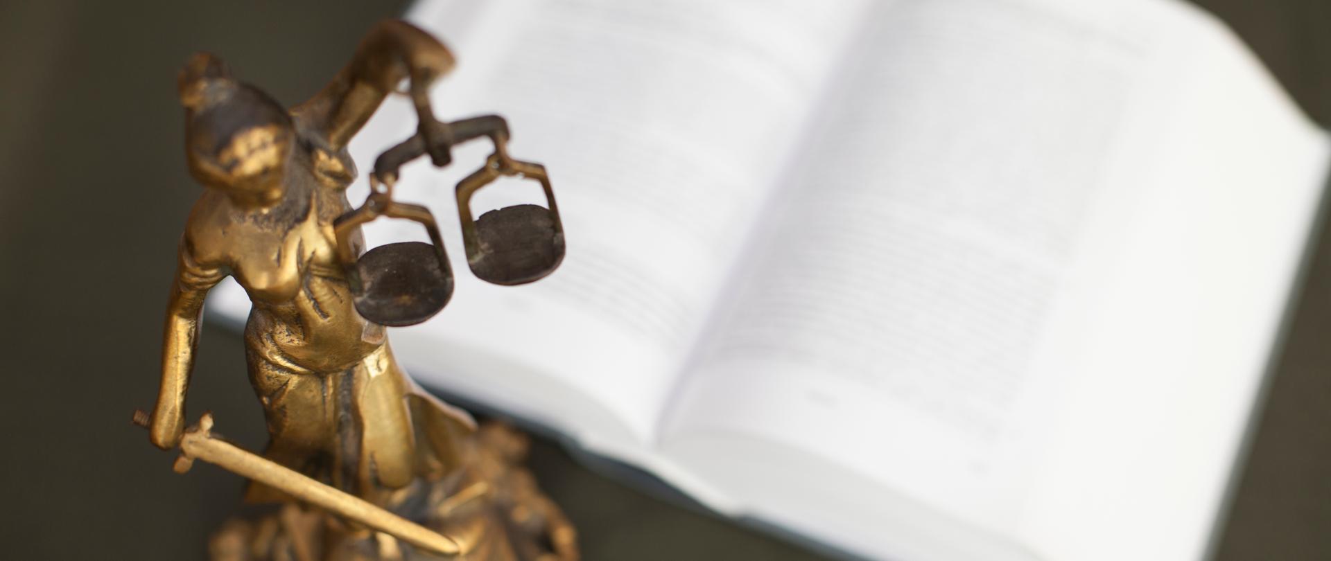 Temida na tle książki