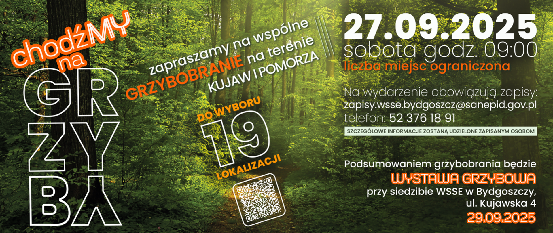 chodźMY na grzyby! Zapraszamy na grzybobranie w 19 miejscach na Kujawach i Pomorzu