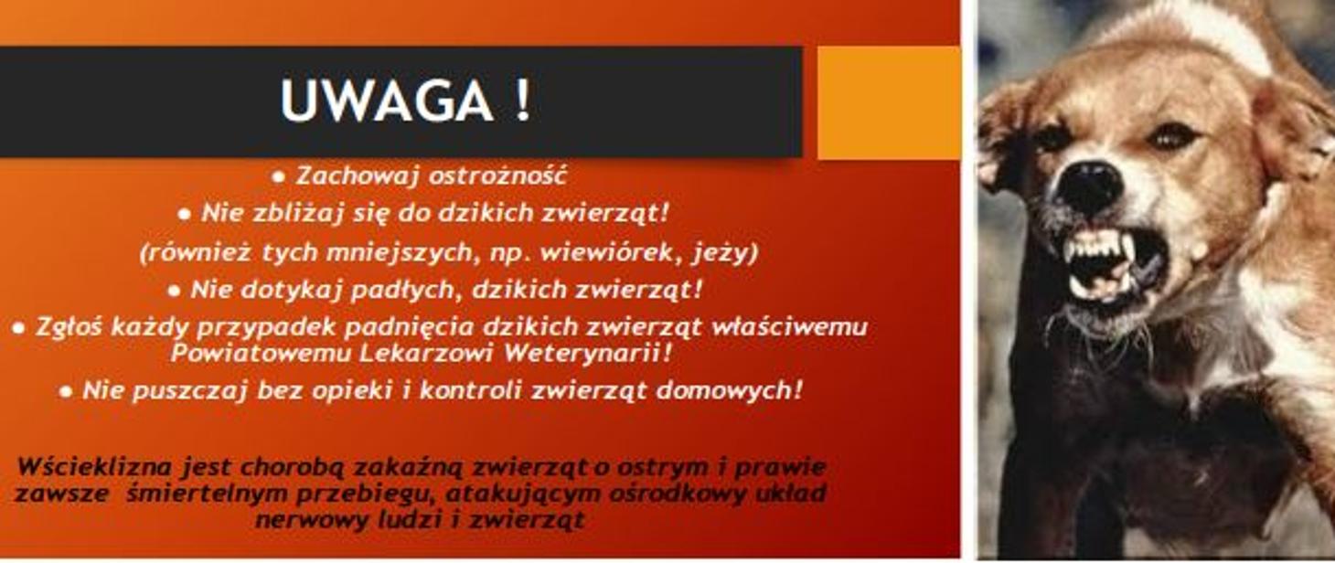 wścieklizna