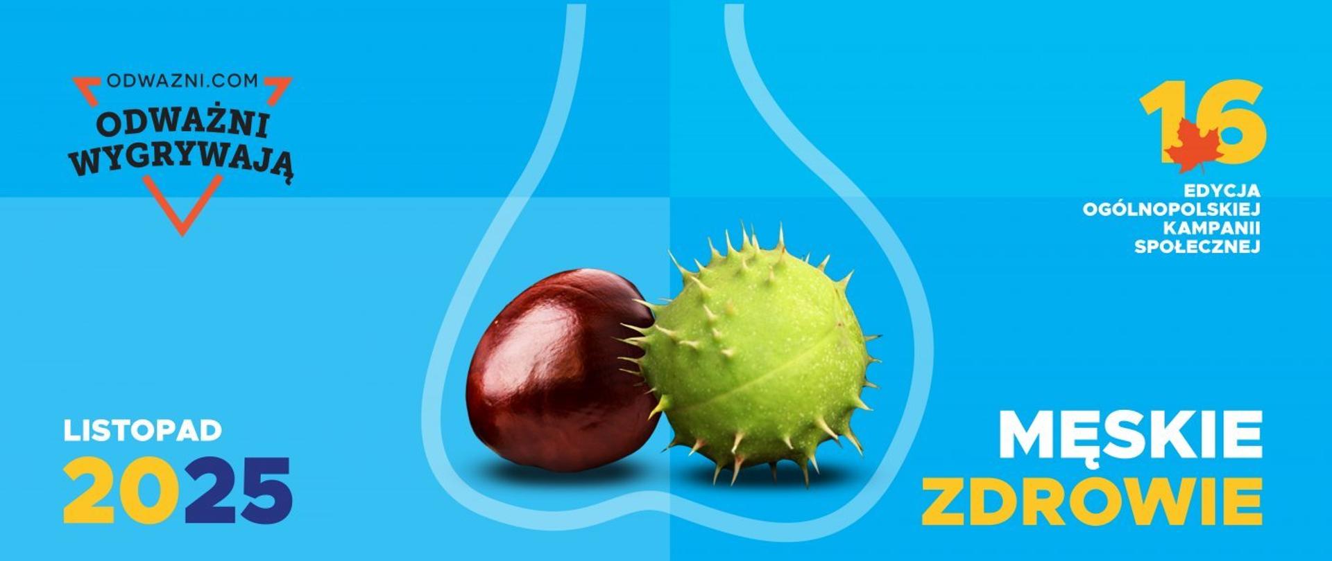 Listopad miesiącem męskich nowotworów