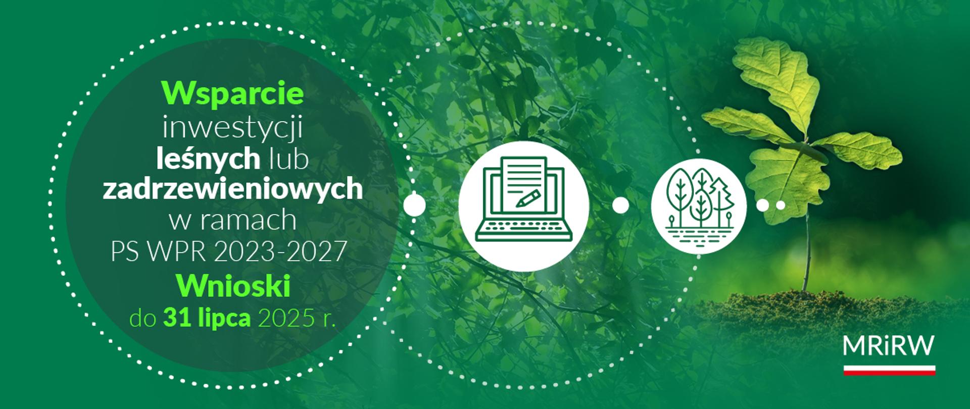 Wsparcie na inwestycje leśne lub zadrzewieniowe – nabór trwa do końca lipca