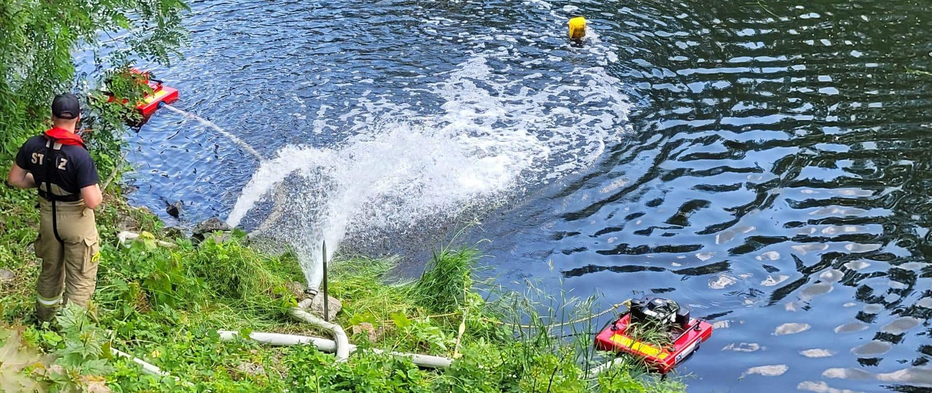 Źródło: Opolski Urząd Wojewódzki