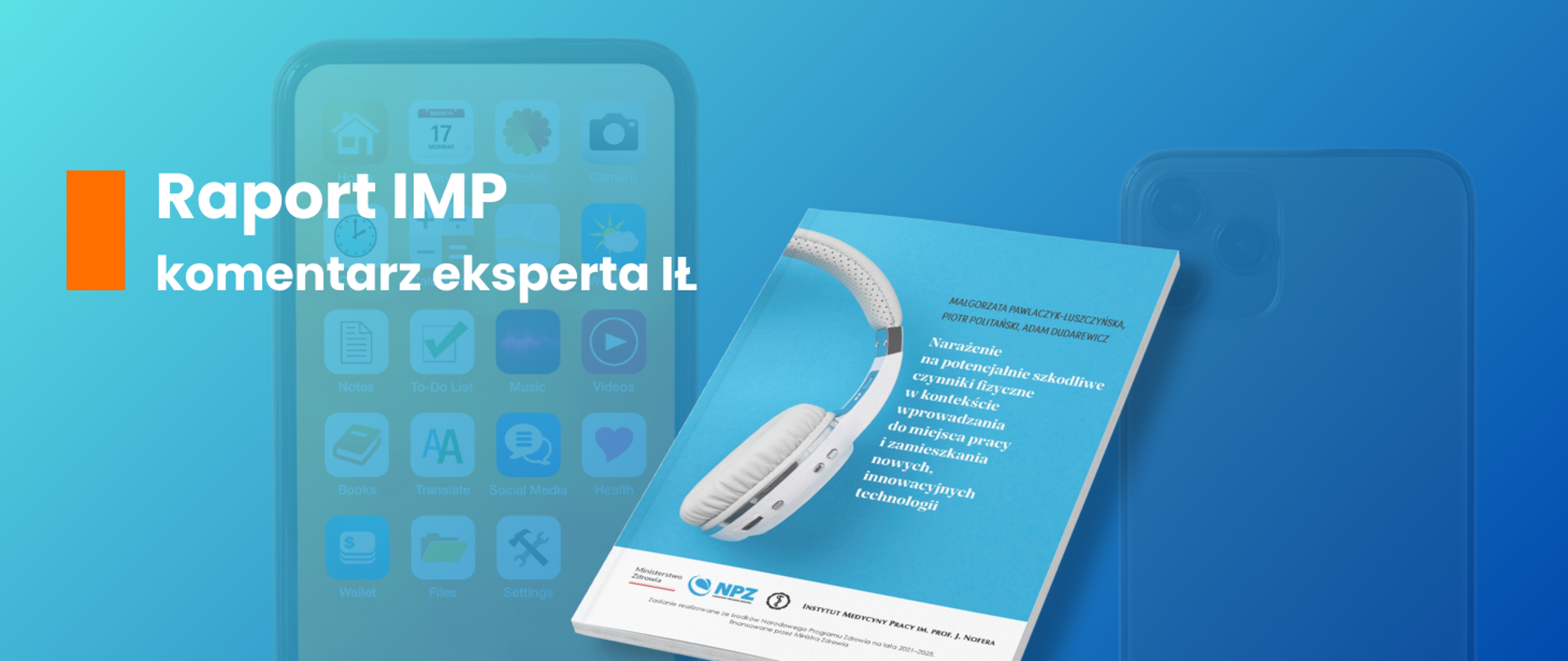 Zdjęcie przedstawia okładkę raportu IMP.