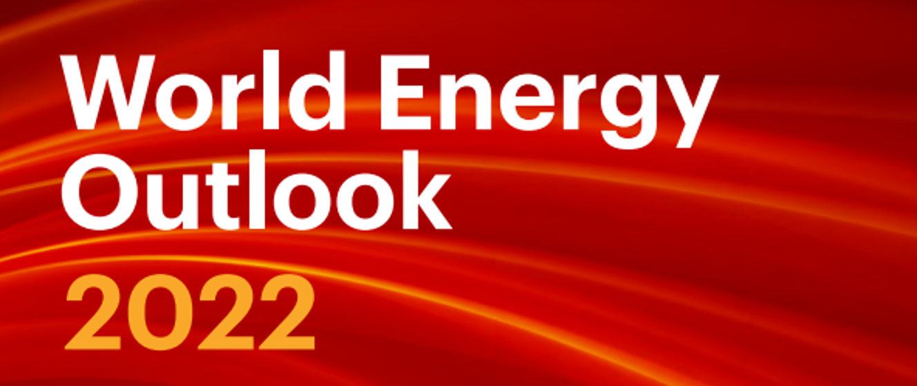 World Energy Outlook 2022 Polska w OECD Portal Gov.pl