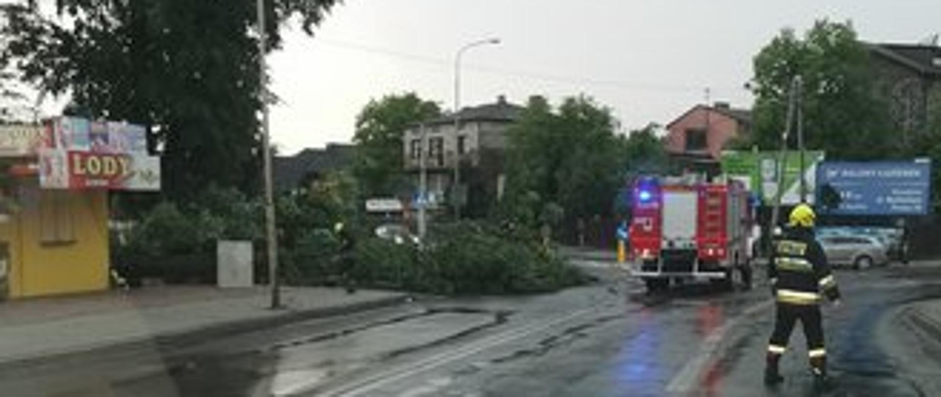 Po lewo powalone drzewo, przy którym stoi samochód strażacki i strażak idzie w stronę samochodu