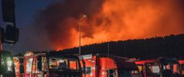 Zdjęcie przedstawia strażaków gaszących pożary lasów w Grecji oraz pojazdy gaśnicze.
W tle las i pożar.
