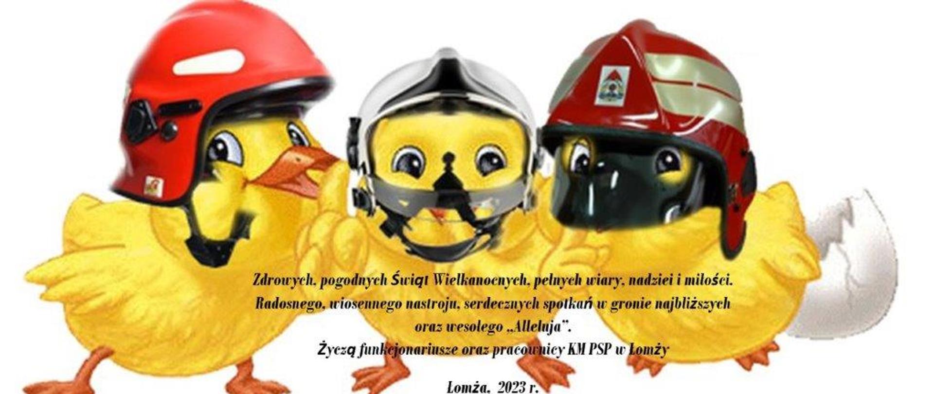 3 kurczaki w hełmach strażackich