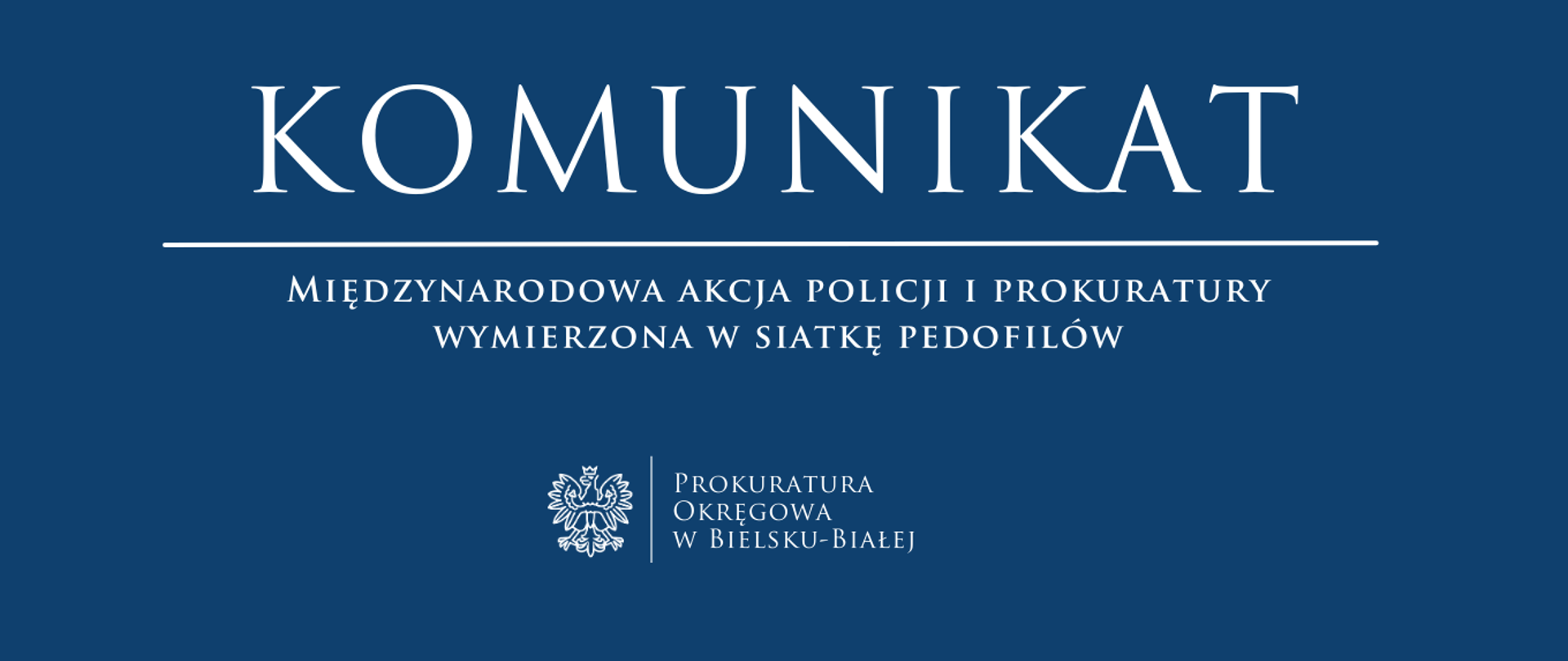 Komunikat - Międzynarodowa akcja policji i prokuratury wymierzona w siatkę pedofilów