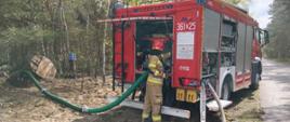 Samochód pożarniczy stoi na poboczu drogi leśnej. Na dachu pojazdu znajduje się dwóch strażaków obsługujących działko wodne, które polewa drzewa wodą.