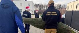 Strażak niesie choinkę na rękach, przed nim dwie policjantki w czapkach Mikołaja. w Tle budynek mieszkalny i ogrodzenie. 