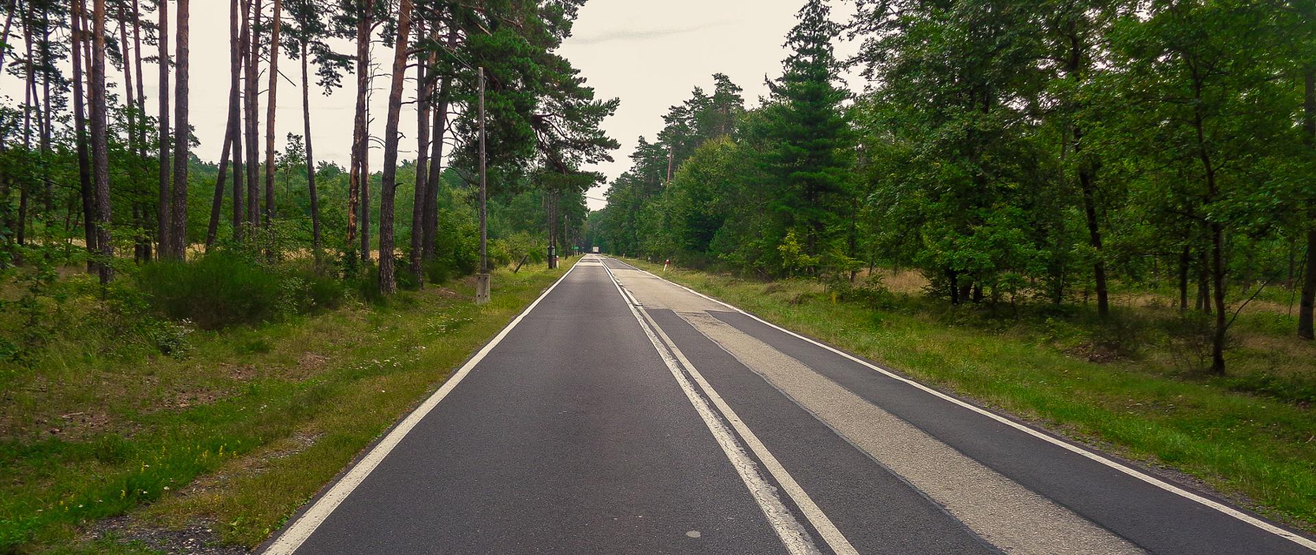 DK46 Janów - Lgoczanka