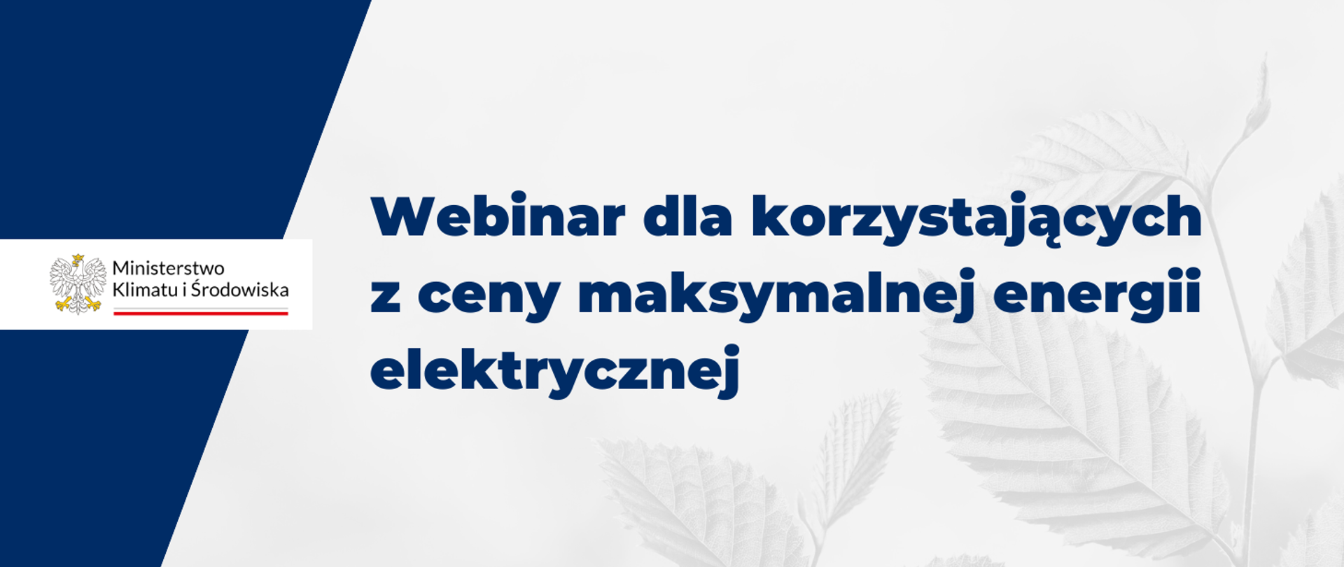 Webinar dla korzystających z maksymalnej ceny energii elektrycznej - napis na jasnym tle. Logo ministerstwa po lewej stronie