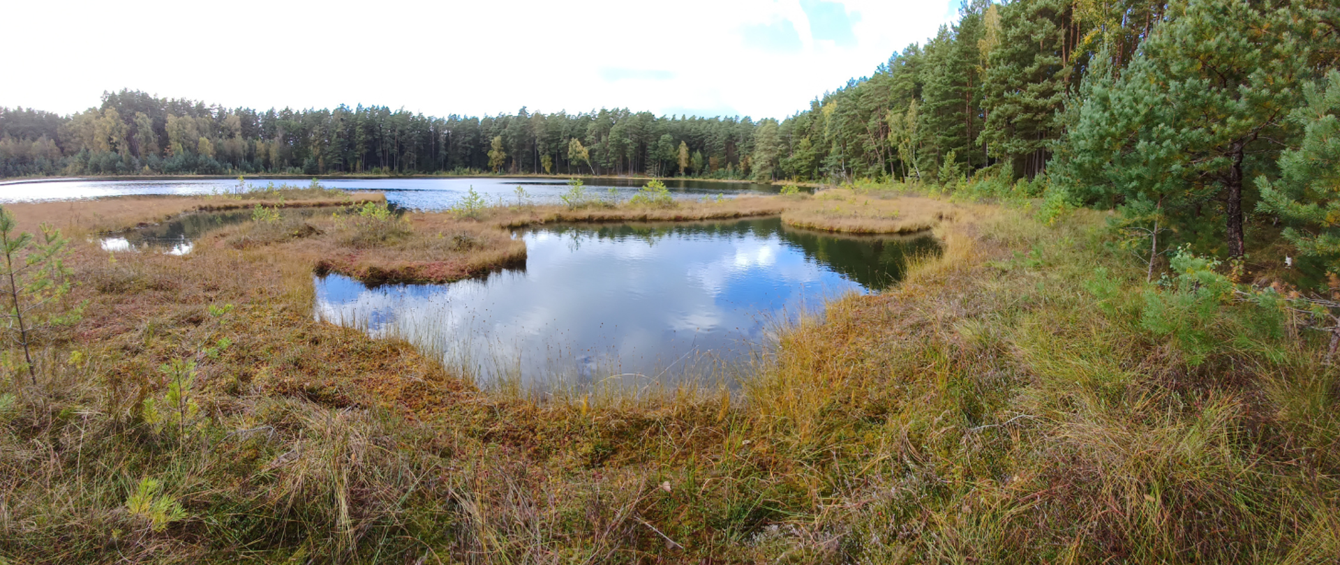 Specjalny obszar ochrony siedlisk Ostoja Piska PLH28004. W centralnej części jezioro, w oddali drzewostan.