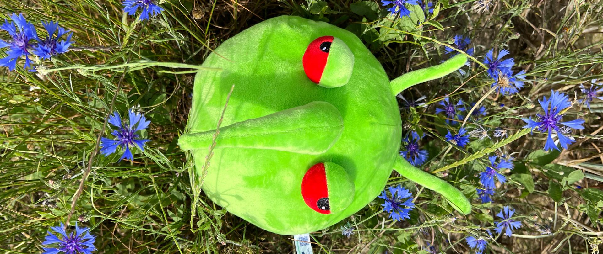 Zdjęcie przedstawia maskotkę agrofaga Pesty