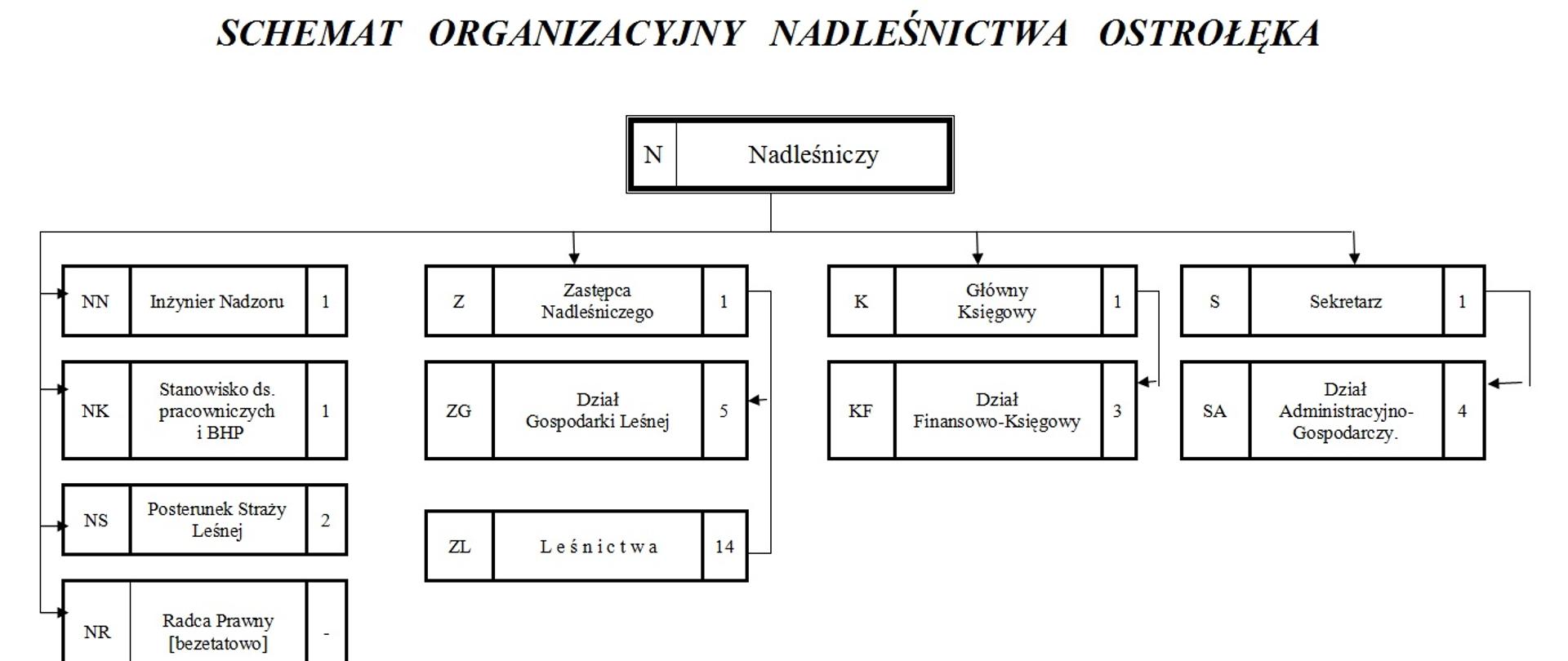 Rysunek przedstawiający schemat organizacyjny Nadleśnictwa Ostrołęka z uwzględnieniem podziału na komórki organizacyjne, ich symbole oraz liczbę etatów.