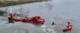 Zdjęcie przedstawia strażaków będących w wodzie w specjalnych skafandrach do pracy w wodzie podczas ćwiczenia technik ewakuacyjnych w warunkach zimowych.