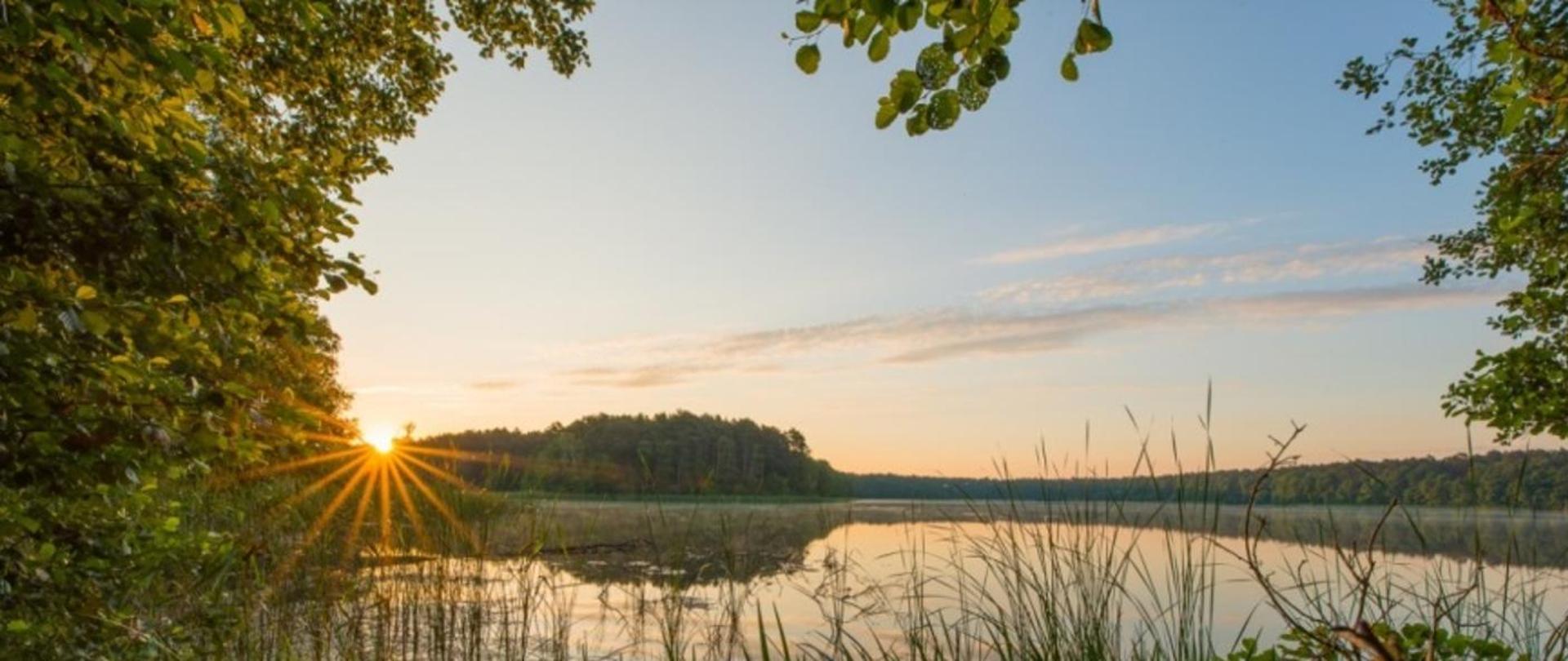 Panorama zachodu słońca nad jeziorem. Na pierwszym planie trzciny i tafla wody jeziora. 