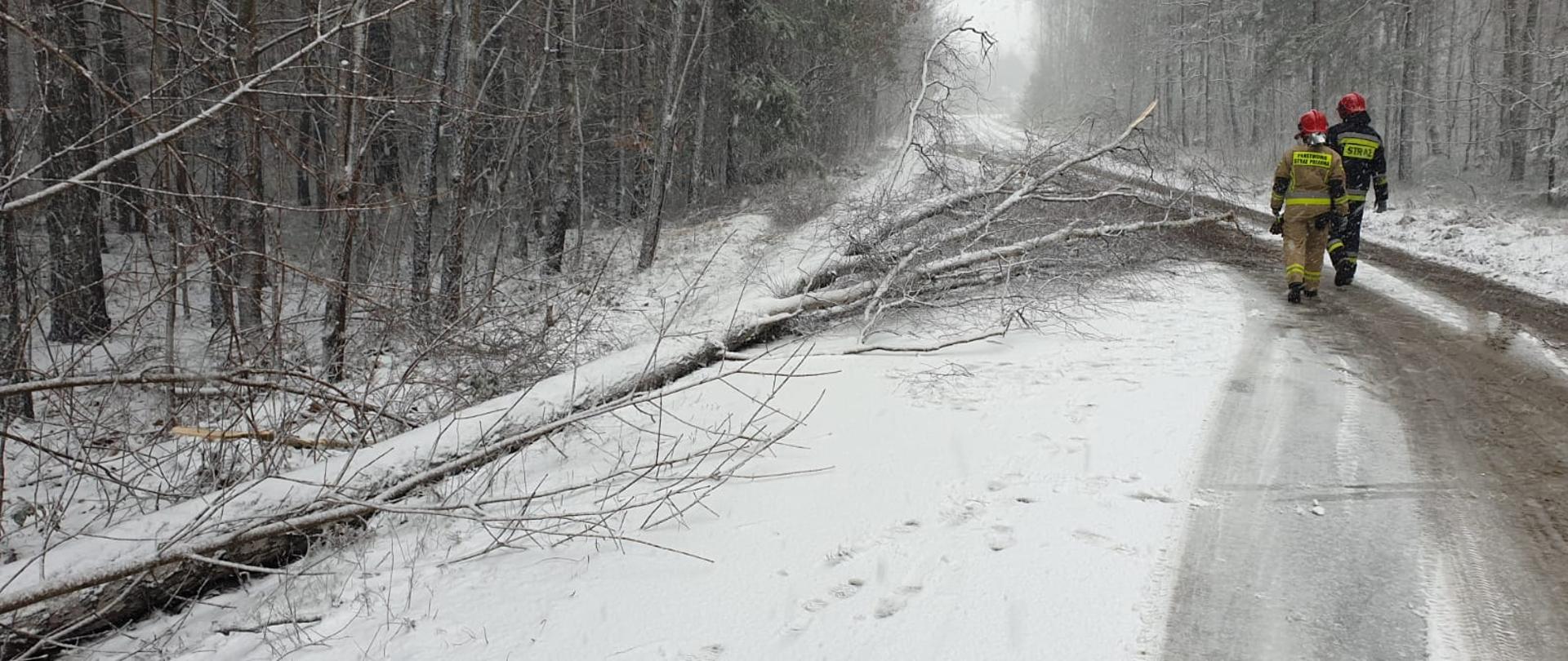 Powalone drzewo na jezdni z powodu silnych opadów śniegu, do którego udają się strażacy celem jego usunięcia z drogi.