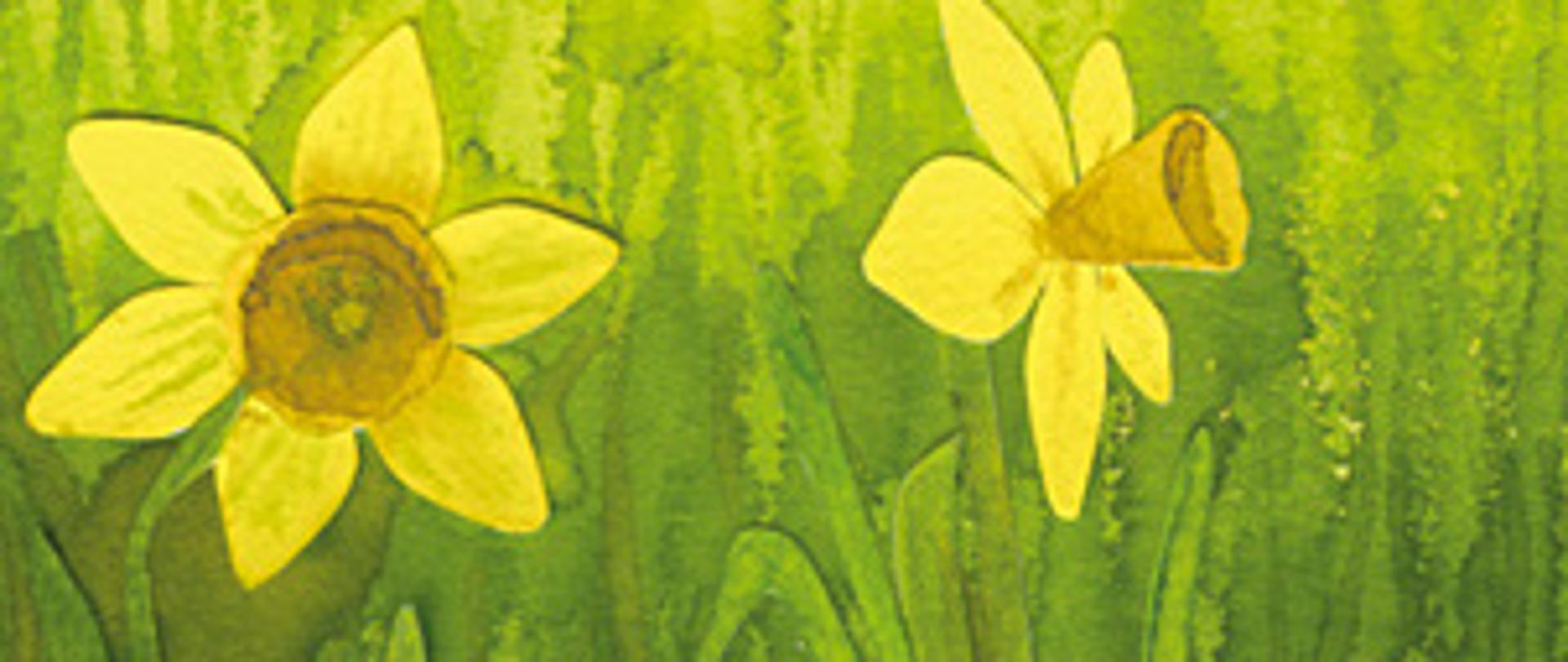 Rysunek przedstawiający żonkile na zielonym tle. W dolnej części żółty napis Pola Nadziei