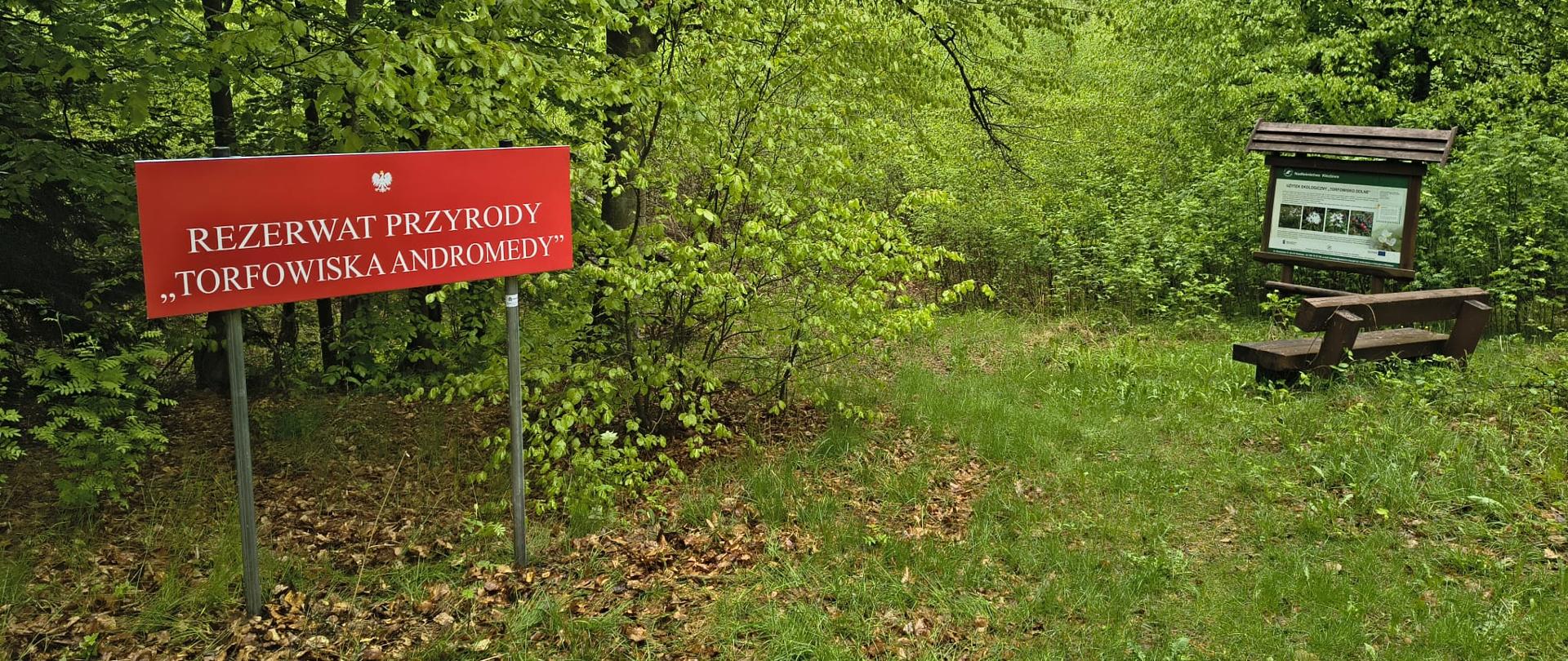 Po lewej stronie czerwona tablica z napisem rezerwat przyrody Torfowiska Andromedy, a po prawej stronie drewniana ławka i stół.