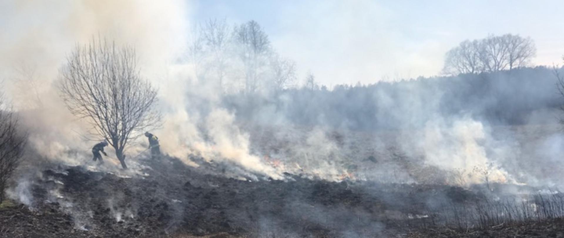 Zdjęcie obrazuje strażaków gaszących pożar suchej trawy