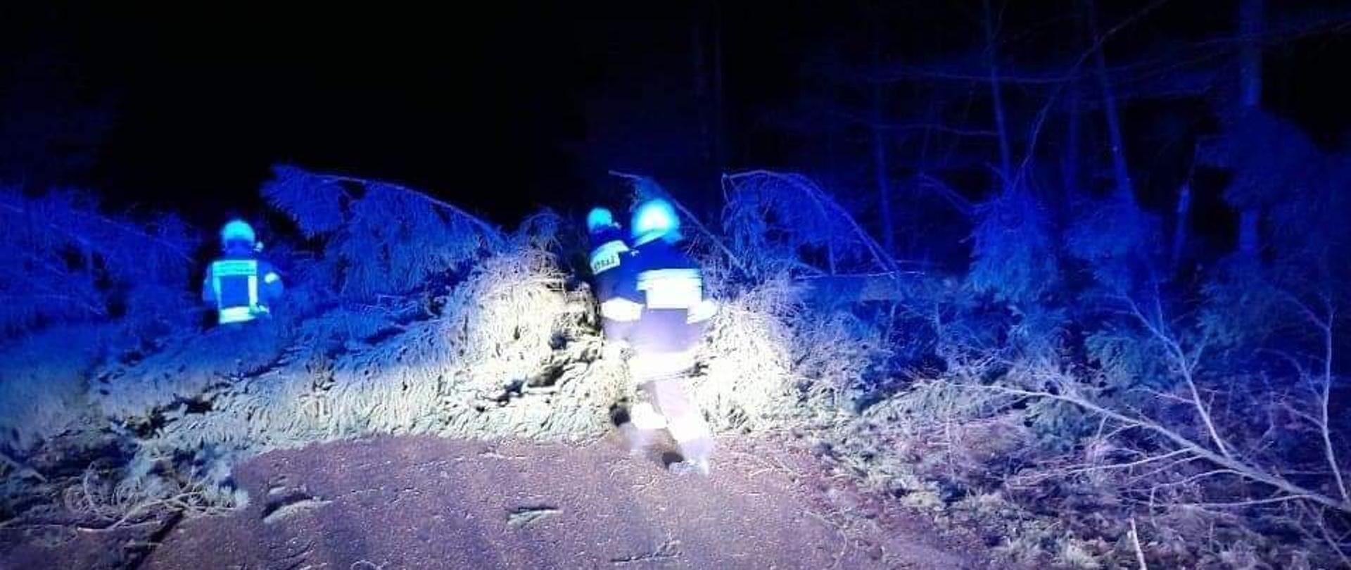 Trzech strażaków usuwa powalone drzewo za pomocą pilarek do drewna. Drzewo leży w poprzek drogi zagradzając przejazd.