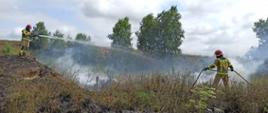 Przedstawia akcję gaśniczą podczas pożaru nielegalnego wysypiska śmieci w pobliżu miejscowości Pomianowo w powiecie białogardzkim. Na zdjęciu rota strażaków w ubraniach specjalnych gasi prądem wodnym stertę śmieci