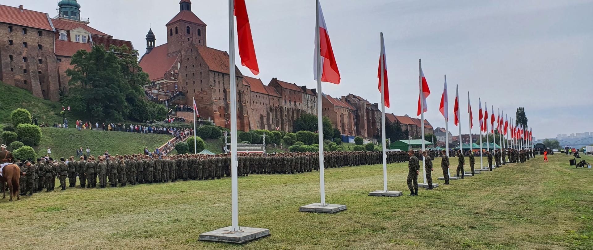 Zdjęcie przedstawia trawiasty teren, na którym w sposób uporządkowany stoją wojskowe pododdziały widziane od tyłu. Na pierwszym planie rząd masztów z podniesionymi flagami państwowymi. W tle skarpa z zabytkową gotycką zabudową wykonaną z czerwonej cegły.