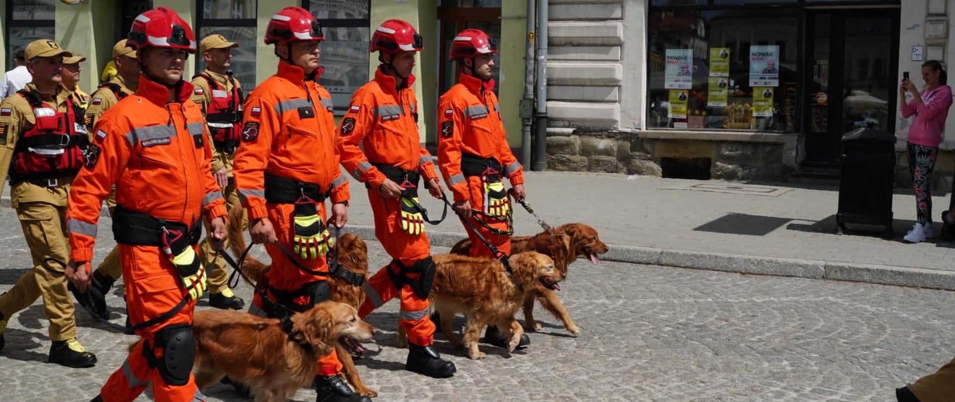 Przewodnicy z psami podczas defilady